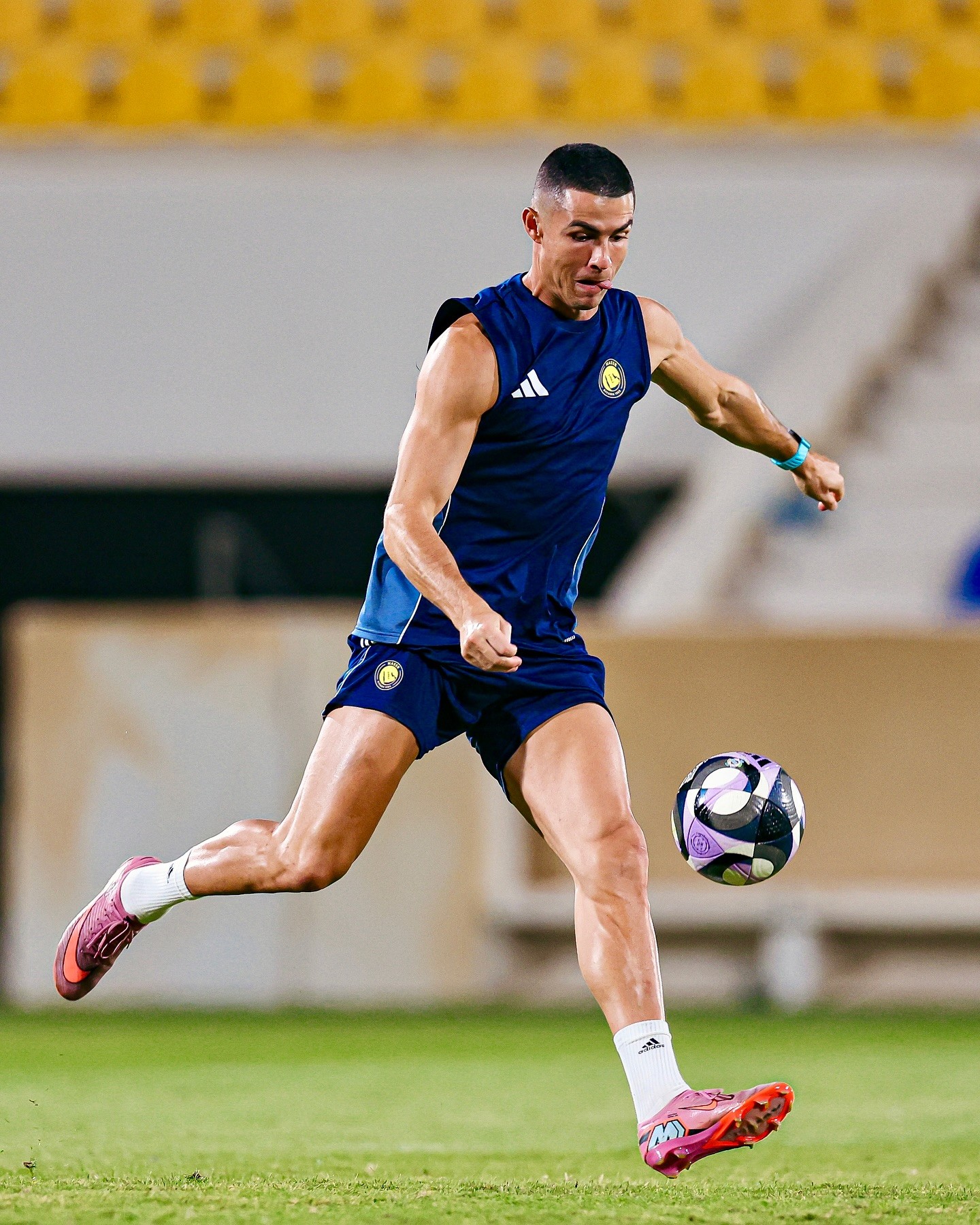 img, amp, div img, amp, div